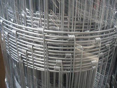 草原養(yǎng)馬網