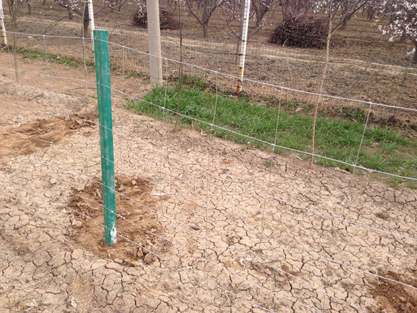 草原隔離網(wǎng)