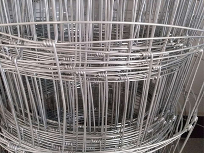 養(yǎng)鹿網(wǎng)